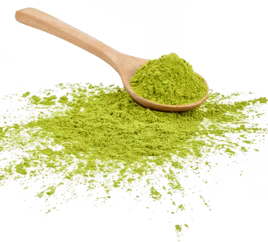 powder