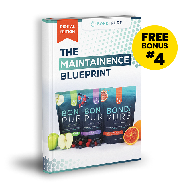 The Maintenance Blueprint
