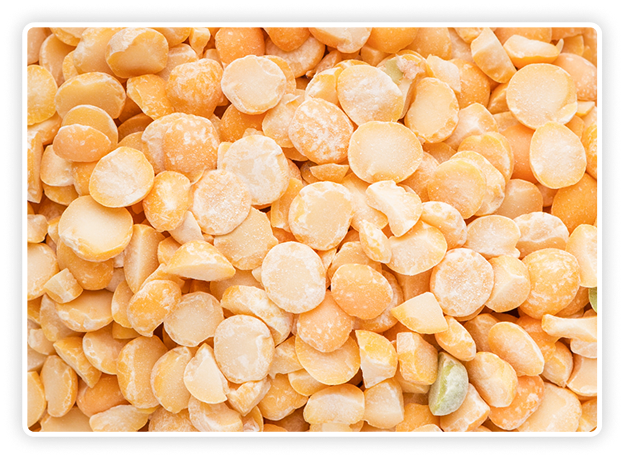 Organic Pea Fiber Powder